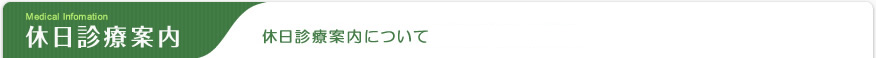休日診療案内